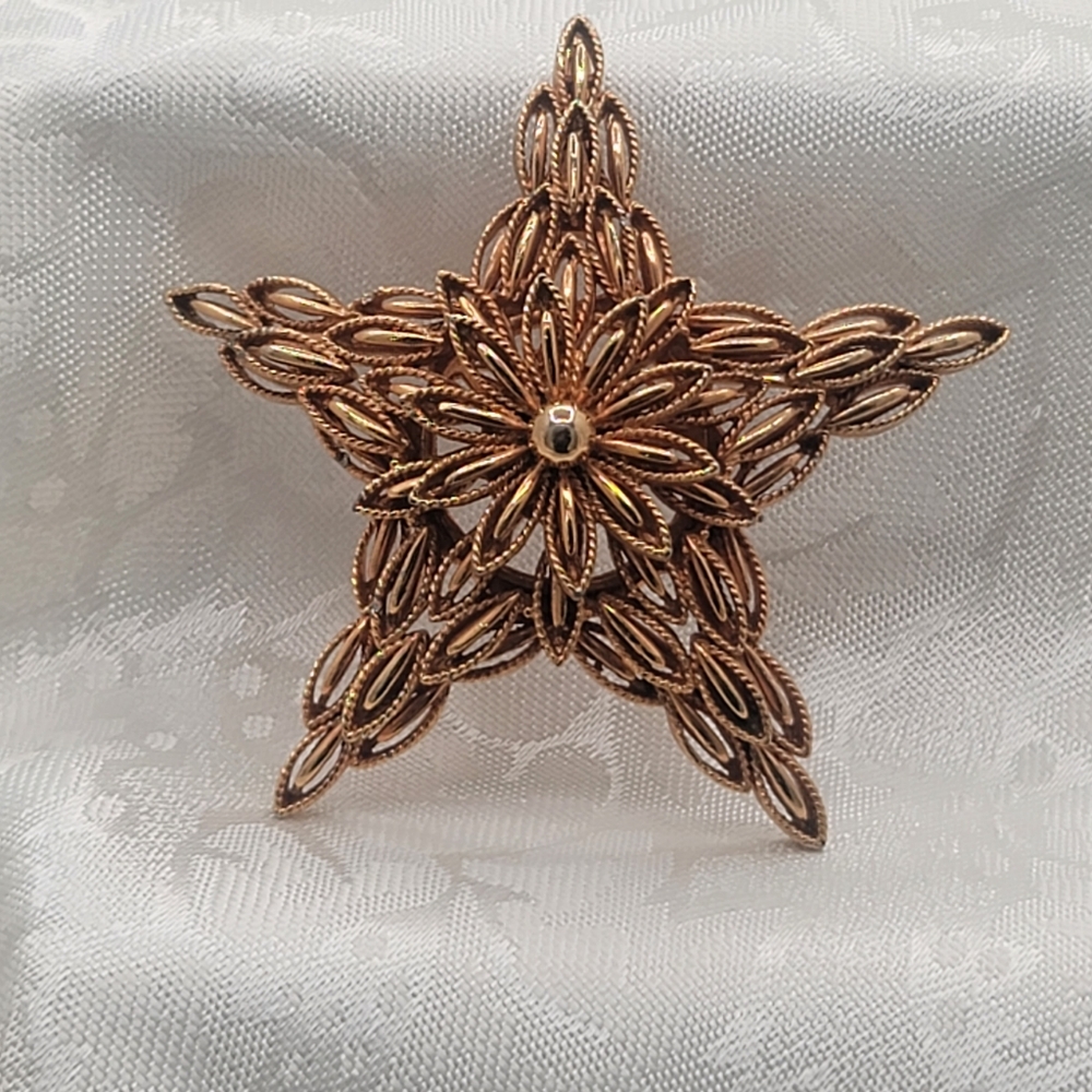 Carpri Signed Vintage Gorgeous Detailed Gold Tone Star Pendant or Brooch Pin
